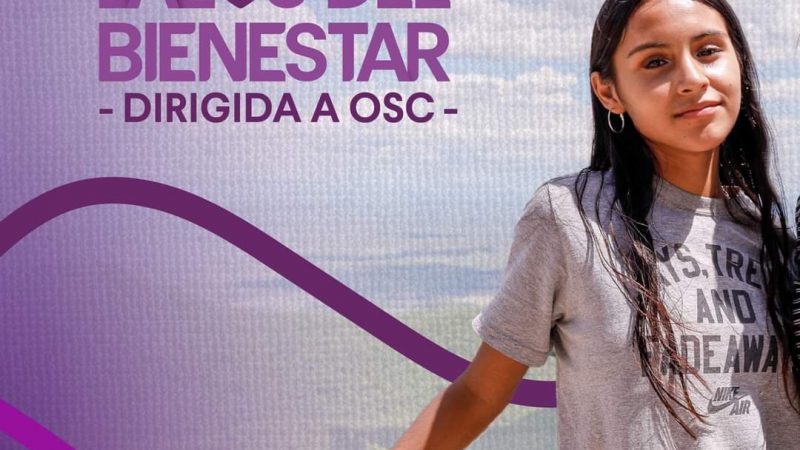 DIF Tamaulipas Lanza Convocatoria «Lazos del Bienestar 2024» para Organizaciones Civiles