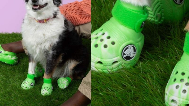 Crocs lanza su colección de sandalias para perros