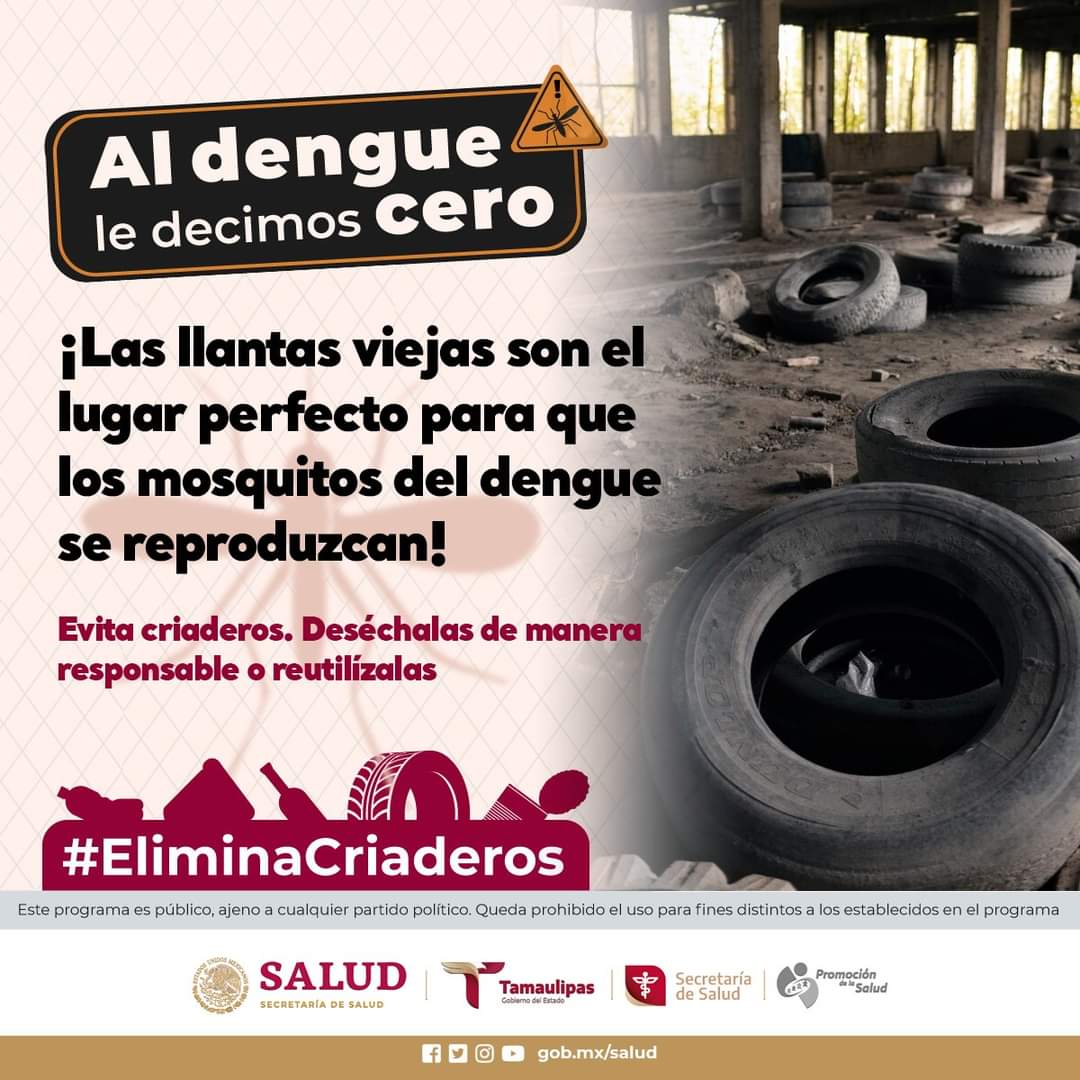 Llaman a desechar llantas viejas para prevenir el dengue en Tamaulipas