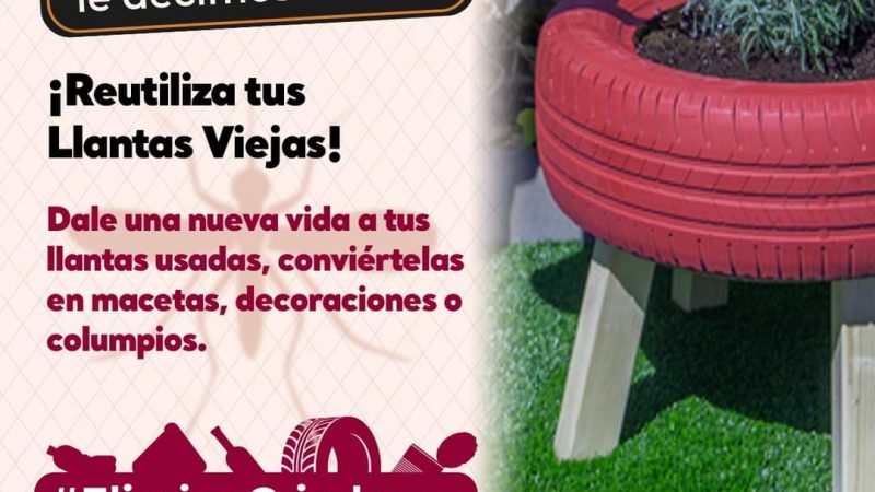 Reutilización de llantas: una apuesta por la creatividad y la prevención
