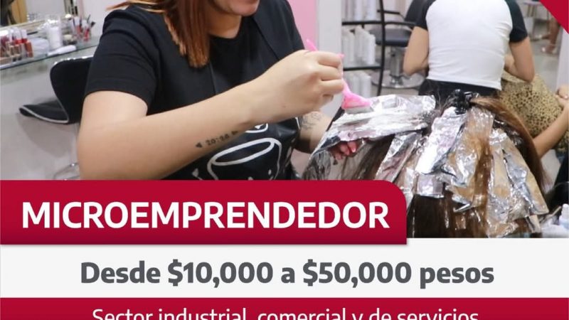 Fondo Tamaulipas Impulsa a Microemprendedores con Financiamiento Accesible