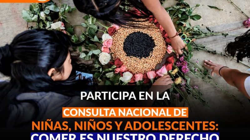 Lanzan consulta nacional sobre el derecho a la alimentación infantil