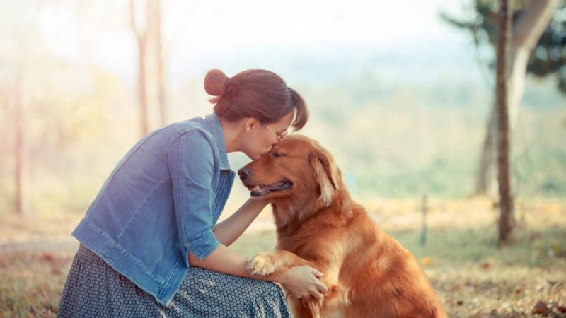 Hablar Más Despacio con los Perros: Un Estudio Revela el Secreto de la Comunicación Efectiva