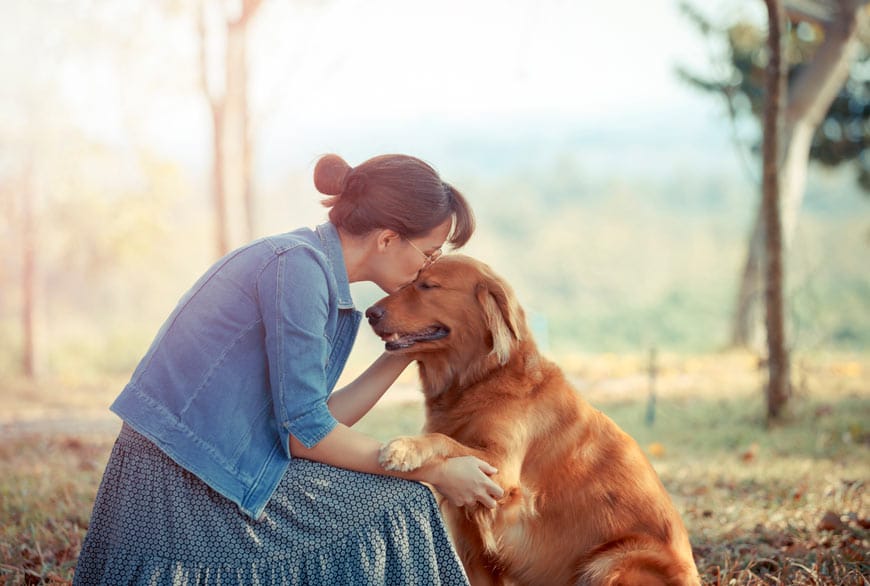 Hablar Más Despacio con los Perros: Un Estudio Revela el Secreto de la Comunicación Efectiva