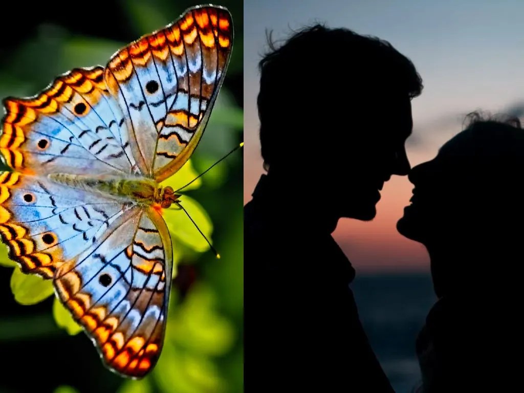 Descubre el Beso Mariposa: Un Gesto Íntimo que Refleja Cariño y Conexión Emocional