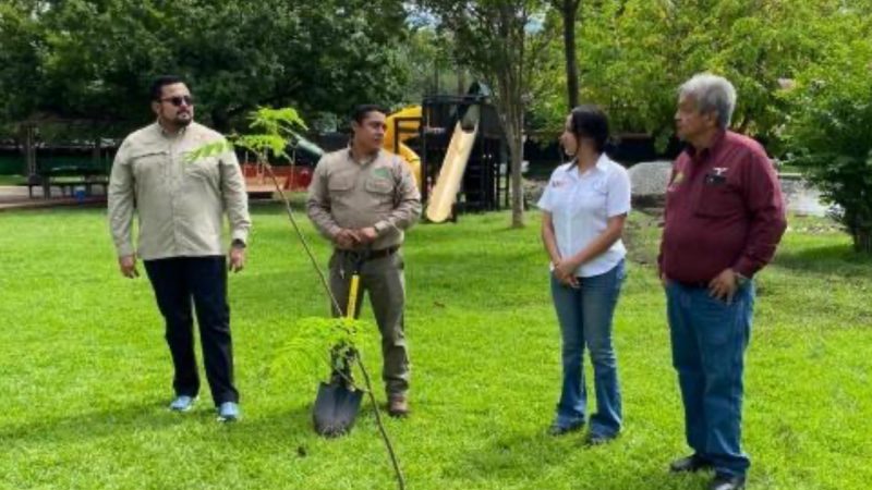 Consolida la UAT su compromiso con el medio ambiente a través de la Facultad de Ingeniería y Ciencias