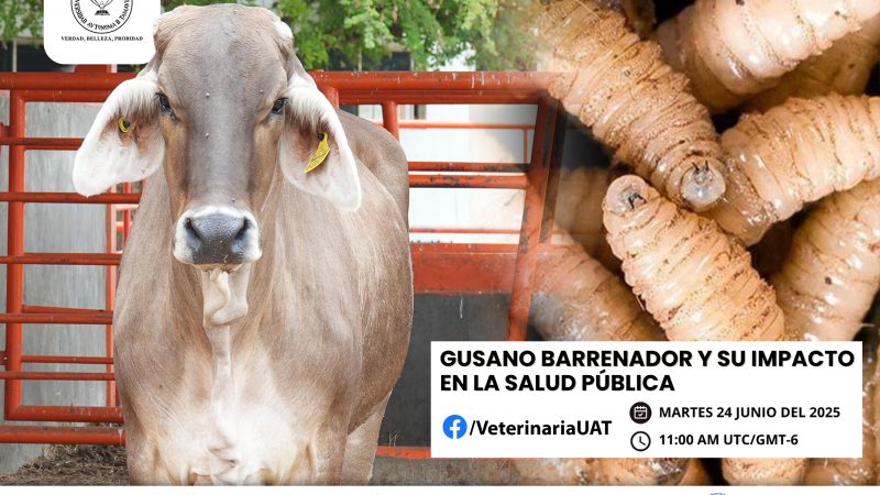 Dará la UAT conferencias sobre gusano barrenador y su impacto en la salud pública