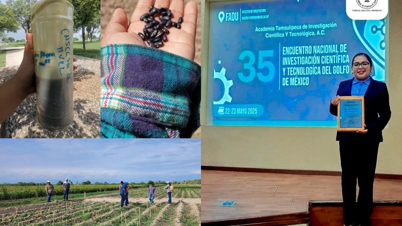 Elabora estudiante de la UAT bioherbicida para cultivos de frijol