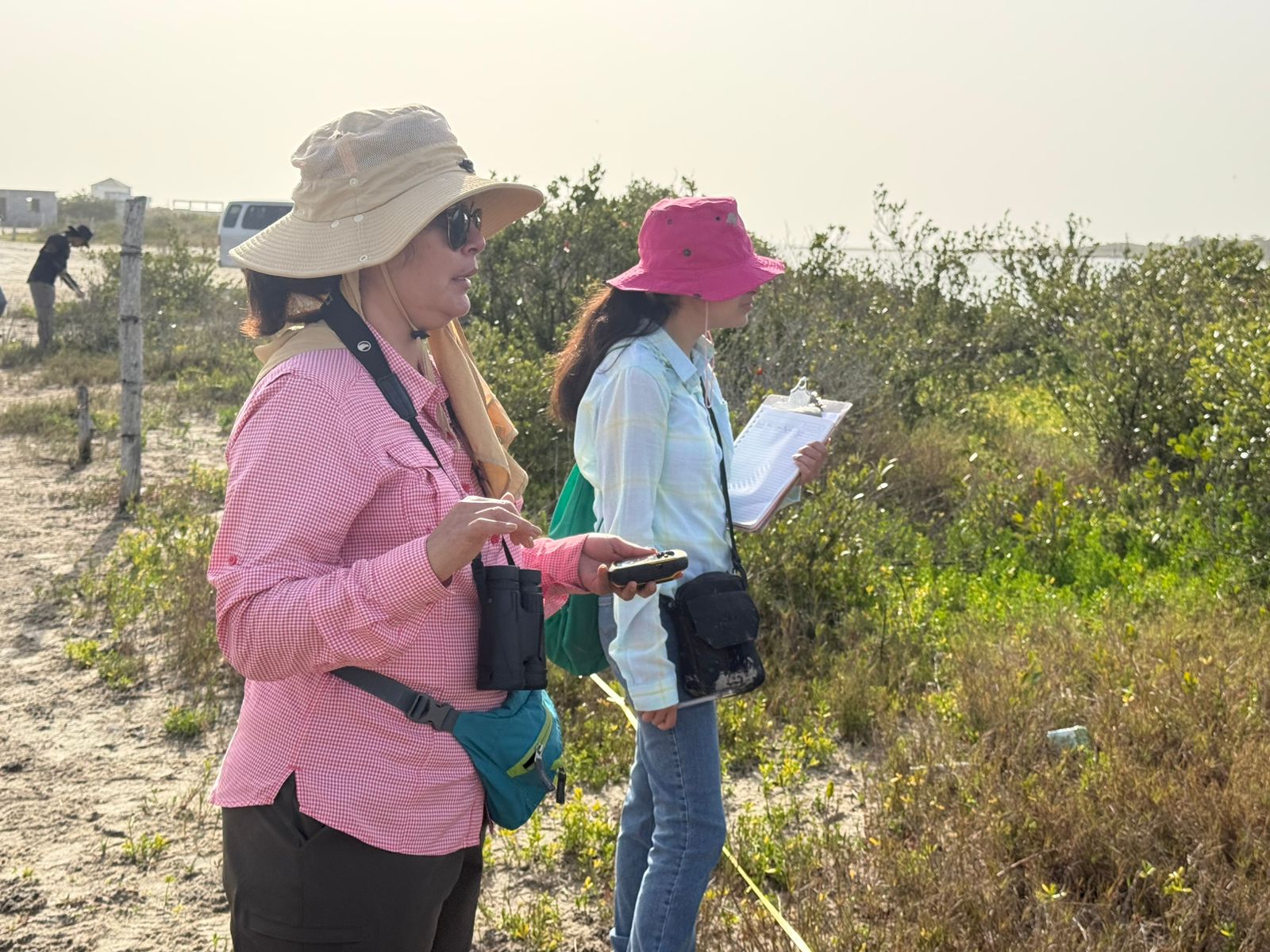 Colabora la UAT en la conservación del mangle en el litoral tamaulipeco