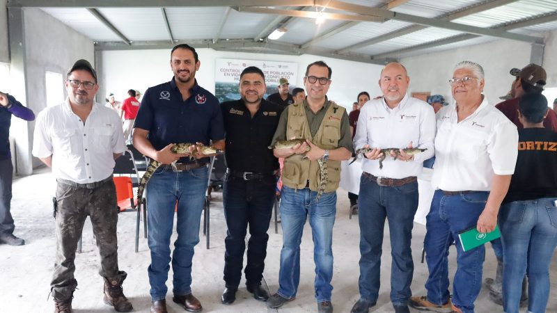 Colabora la UAT en la conservación y control del cocodrilo morelet