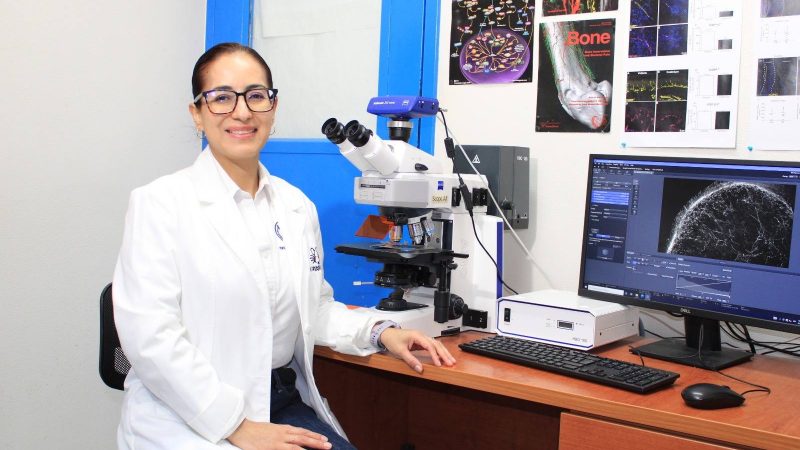Investigadores de la UAT obtienen certificación nacional
