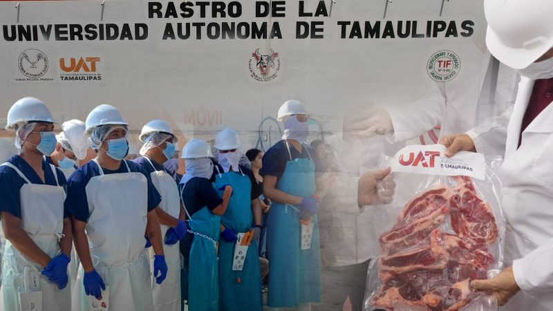 Rastro TIF de la UAT producirá carne para el mercado internacional