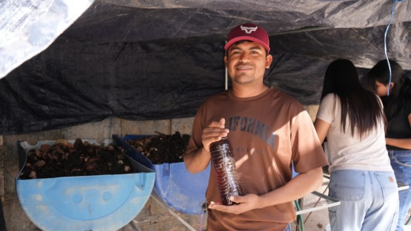 Desarrolla la UAT biofertilizantes líquidos a partir de lombricomposta