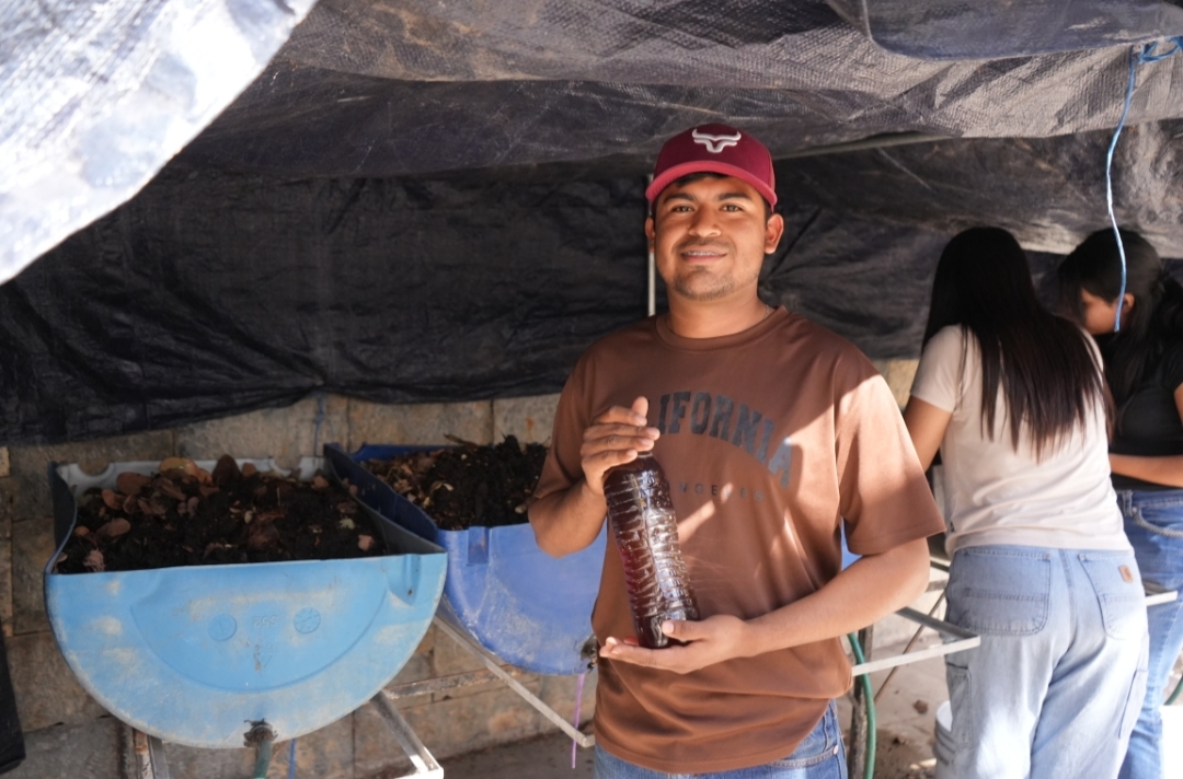 Desarrolla la UAT biofertilizantes líquidos a partir de lombricomposta